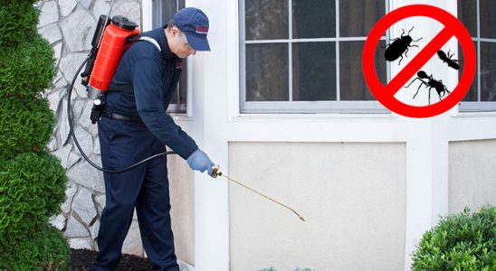 Dikili Akrep İlaçlama böcek ilaçlama ve haşere kontrolü — ilaclama-tr.com
